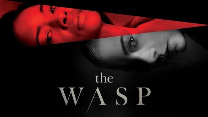 مشاهدة فيلم The Wasp 2024 مترجم ماي سيما