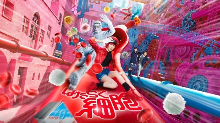 مشاهدة فيلم Cells at Work 2024 مترجم ماي سيما