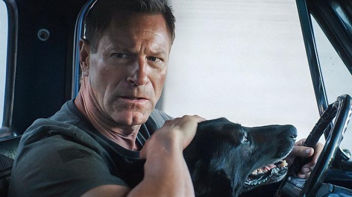 مشاهدة فيلم Muzzle 2 City of Wolves 2025 مدبلج ماي سيما