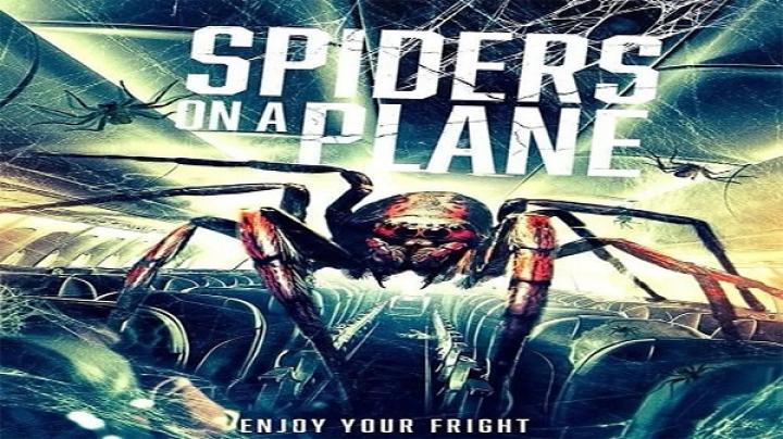مشاهدة فيلم Spiders On A Plane 2024 مترجم ماي سيما