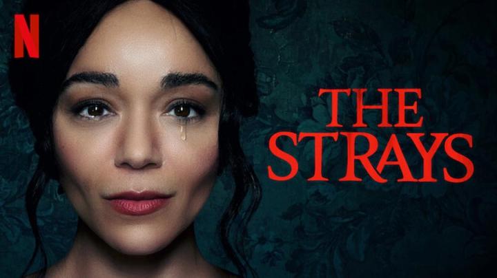 مشاهدة فيلم The Strays 2023 مترجم ماي سيما