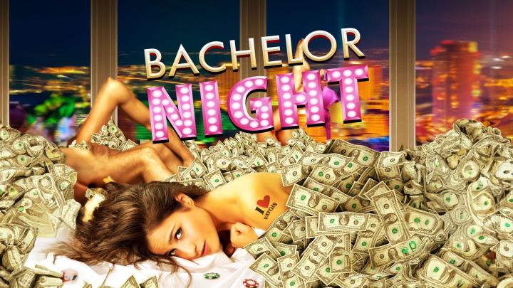مشاهدة فيلم Bachelor Night 2014 مترجم ماي سيما