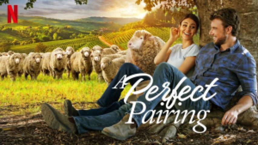مشاهدة فيلم A Perfect Pairing 2022 مترجم ماي سيما