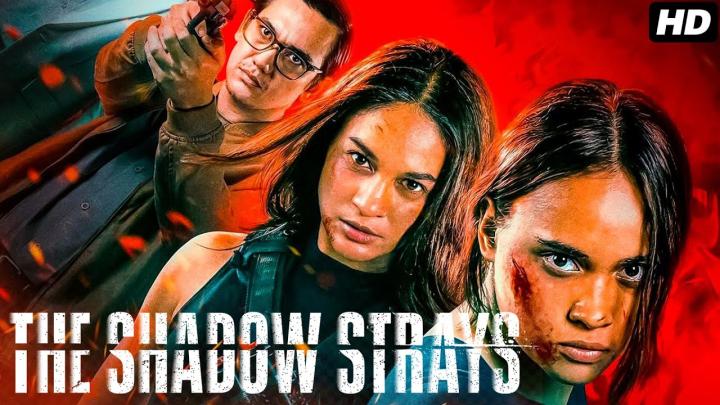 مشاهدة فيلم The Shadow Strays 2024 مترجم ماي سيما