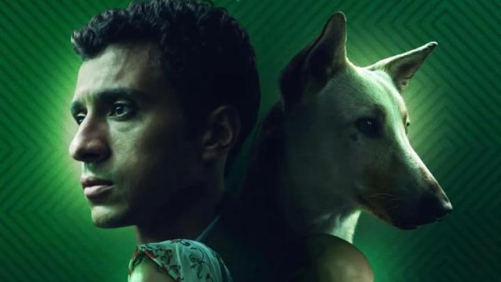 مشاهدة فيلم البحث عن منفذ لخروج السيد رامبو 2025 ماي سيما