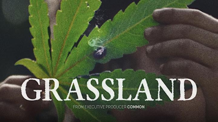 مشاهدة فيلم Grassland 2024 مترجم ماي سيما