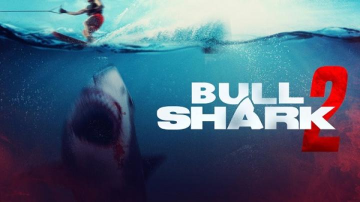 مشاهدة فيلم Bull Shark 2 2024 مترجم ماي سيما