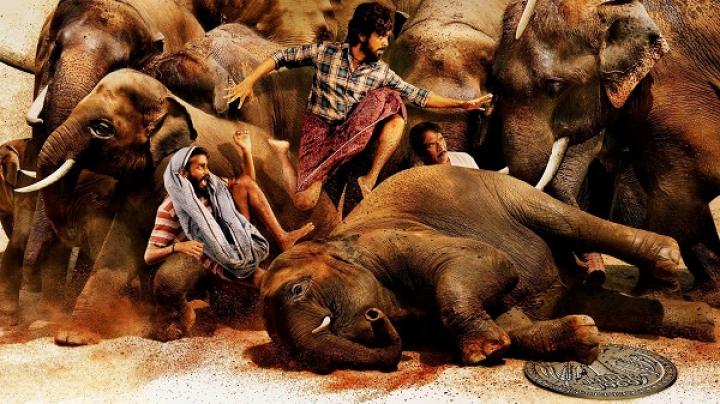 مشاهدة فيلم Kalvan 2024 مترجم ماي سيما